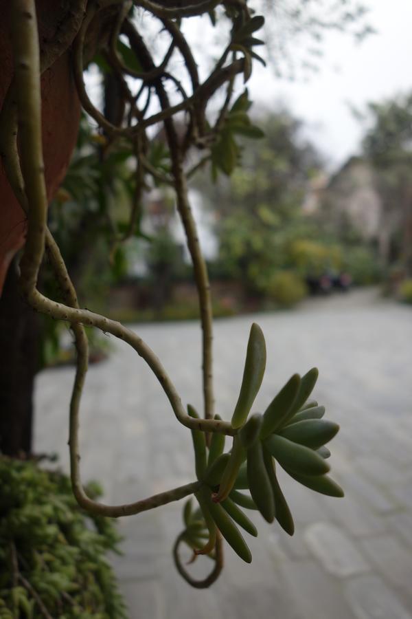 Tushita Bed & Breakfast Kathmandu Ngoại thất bức ảnh